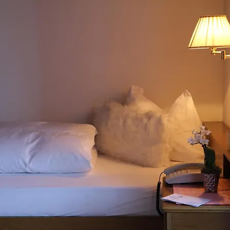Hotel Serena 3*